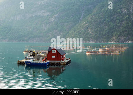 Un tipico floating acquacoltura pesce Salmone agriturismo a un fiordo norvegese. Foto Stock