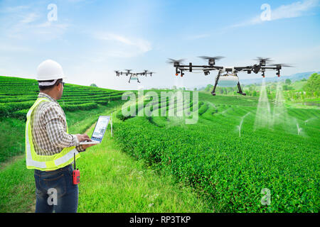 Il tecnico agricoltore usa wifi il controllo del computer agricoltura drone fly di fertilizzante spruzzato sul tè verde campi, Smart farm 4.0 concetto Foto Stock