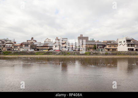 Fiume Kamo a Kyoto in Giappone Foto Stock