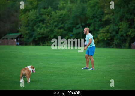 Bel giovane con Bulldog inglese cane all'aperto in città il parco forestale. Un uomo su un prato verde con il cane. Cynologist. Foto Stock