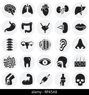 Gli organi umani impostato su cerchi sfondo per grafica e web design, moderno vettore semplice segno. Concetto di Internet. Il simbolo alla moda per il design del sito web o del pulsante mobile app. Illustrazione Vettoriale