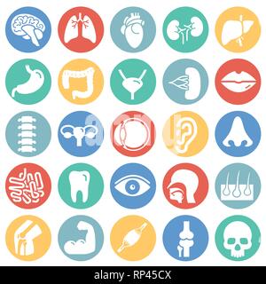 Gli organi umani impostato su cerchi di colore sfondo bianco per grafica e web design, moderno vettore semplice segno. Concetto di Internet. Il simbolo alla moda per il design del sito web o del pulsante mobile app. Illustrazione Vettoriale