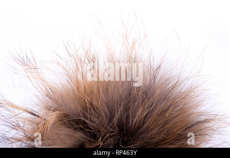 Pon pon pelliccia fatta di pelliccia naturale su un bianco sfondo isolato Foto Stock