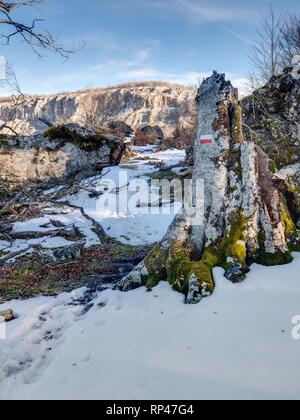 Tronco di albero e trail blaze del 'Sendero del Pastoreo' sentiero escursionistico in Entzia mountain range su un inverno nevoso giorno Foto Stock