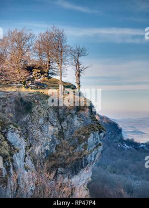 Faggi sul bordo di una scogliera sopra una roccia con una faccia su di esso, Entzia mountain range, Alava, Paesi Baschi Foto Stock