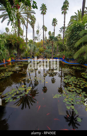 Il Giardino Majorelle è un giardino botanico e artista giardino paesaggistico di Marrakech, Marocco. Jardin Majorelle Cactus e palme tropicali. Foto Stock