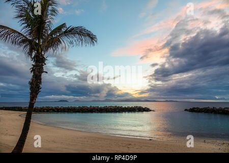 Spiaggia e palma nel tramonto. Tempestose nuvole scure in background. Foto Stock