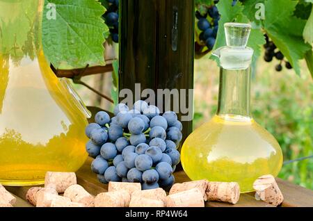 In casa vino bianco e rosso da uve. Decantatori, bottiglie, tappi e uva fotografati contro lo sfondo della vite. Foto Stock