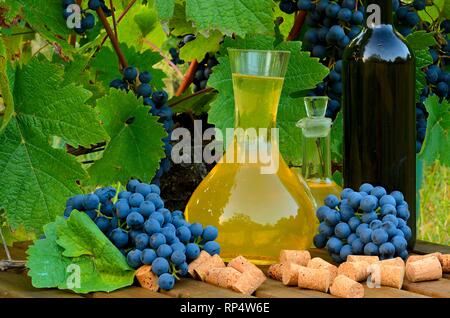 In casa vino bianco e rosso da uve. Decantatori, bottiglie, tappi e uva fotografati contro lo sfondo della vite. Foto Stock