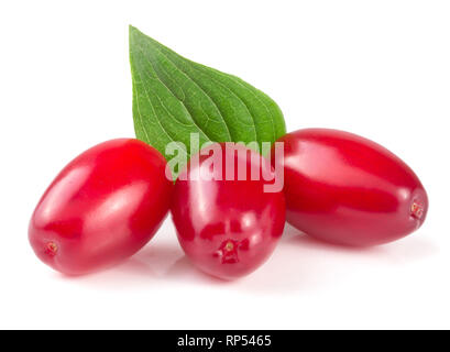 Sanguinello berry con foglie isolati su sfondo bianco. Foto Stock