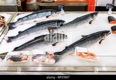 Samara, Russia - 09 Maggio 2017: Salmone Pesce sono congelati con ghiaccio per la vendita nel supermercato della catena Foto Stock