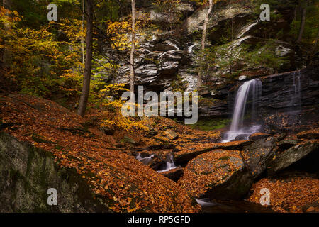 B. Reynolds cade in Ricketts Glen State Park, Pennsylvania Foto Stock