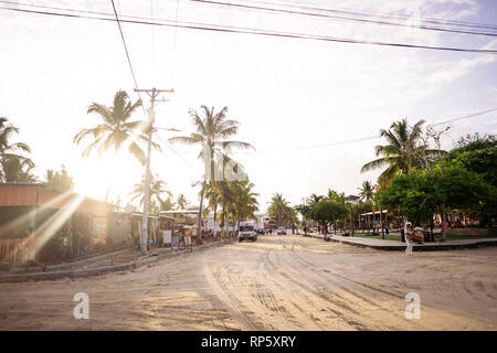 Isola la vita di strada su Isabela Galapagos Foto Stock