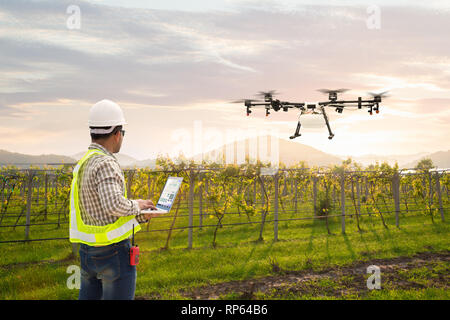 Il tecnico agricoltore usa wifi il controllo del computer agricoltura drone volare a irrorato fertilizzante sul campo di uva, Smart farm concept Foto Stock