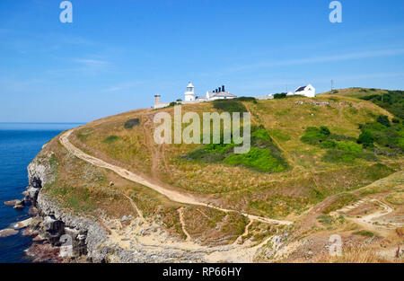 Passeggiata costiera attraverso Durlston Country Park e riserva naturale nazionale, Swanage, Isle of Purbeck, Dorset, Regno Unito Foto Stock