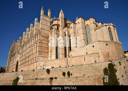 La Seu Cattedrale o Duomo di Santa Maria di Palma, Palma di Maiorca, isole Baleari, Spagna Foto Stock