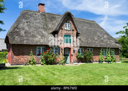 La foto mostra un museo casa con tetto di paglia sull'isola Amrum Foto Stock