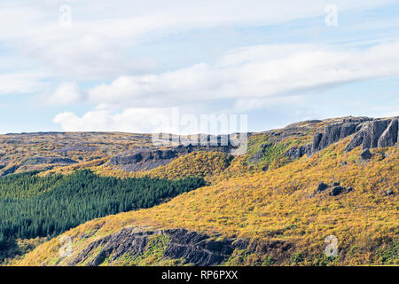 Foresta di verde di pini nel tranquillo tranquillo paesaggio Islanda e cielo nuvoloso sul cerchio d'oro con la montagna Foto Stock