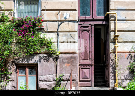 Lviv, Ucraina esterno dell edificio residenziale ingresso nella storica città ucraina nella città vecchia architettura durante il giorno con la porta e fiori da giardino Foto Stock