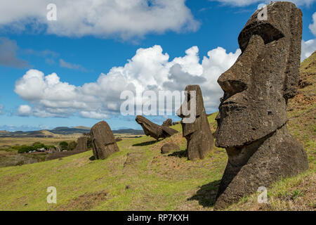 Moais a Rano Raraku, Isola di Pasqua, Cile Foto Stock