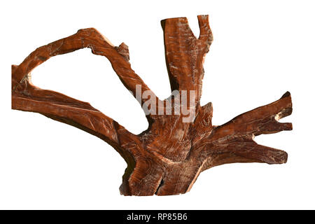 Ceppo di albero isolato su sfondo bianco con percorso di clipping. Foto Stock