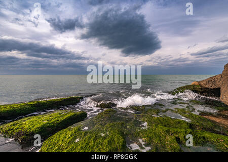 Colori del mare a riva con le alghe verdi Foto Stock