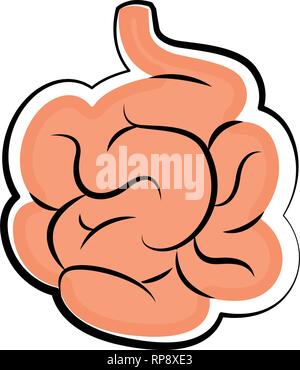 Intestino umano. Schizzo colorati Illustrazione Vettoriale