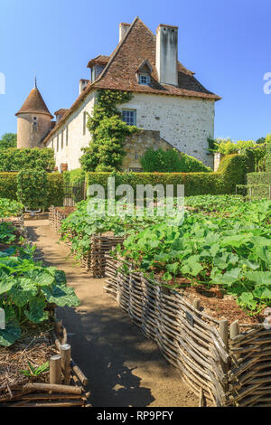 Orsan priory giardino, francia : la maggiore cucina Giardino Piantagione di cucurbitacea di tutti i tipi : zucche, zucchine, zucche (menzione obbligatoria o Foto Stock