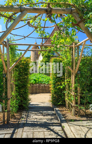 Orsan priory giardino, francia : Marie giardini ricoperti con rose rampicanti sulle strutture di dolci alberi di castagno e il passaggio verso la maggiore Foto Stock