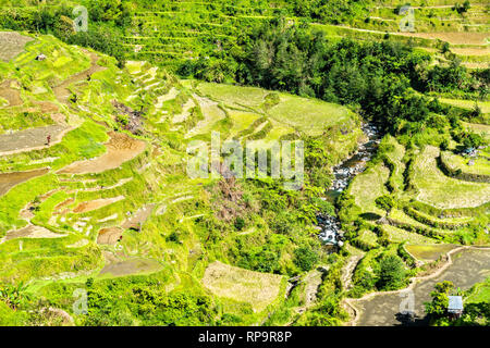 Banaue terrazze di riso - northern Luzon, patrimonio mondiale UNESCO nelle Filippine. Foto Stock