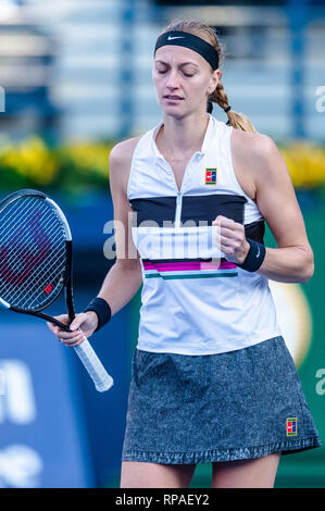 Dubai, EAU. Il 21 febbraio, 2019. Petra KVITOVA della Repubblica ceca reagisce nei quarti di finale il match contro il Viktoria Kuzmova della Slovacchia durante il Dubai Duty Free campionato di tennis presso il Dubai International Tennis Stadium, Dubai, UAE il 21 febbraio 2019. Foto di concedere l'inverno. Credit: UK Sports Pics Ltd/Alamy Live News Foto Stock