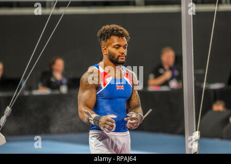 Melbourne, Victoria, Australia. 21 feb 2019. Gymnastics World Cup - GIORNO Una qualifica - 21 Febbraio 2019 - Melbourne Arena, Melbourne, Victoria, Australia.anelli concorrente Courtney Tulloch in rappresentanza di GBR durante la sua routine. Courtney finito in parità di terza posizione legata con Arther Zanetti da BRA. Credito: Brett keating/Alamy Live News Foto Stock