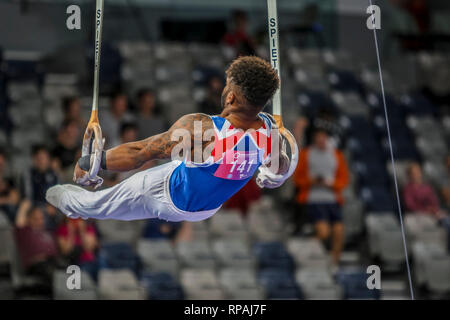 Melbourne, Victoria, Australia. 21 feb 2019. Gymnastics World Cup - GIORNO Una qualifica - 21 Febbraio 2019 - Melbourne Arena, Melbourne, Victoria, Australia.anelli concorrente Courtney Tulloch in rappresentanza di GBR durante la sua routine. Courtney finito in parità di terza posizione legata con Arther Zanetti da BRA. Credito: Brett keating/Alamy Live News Foto Stock