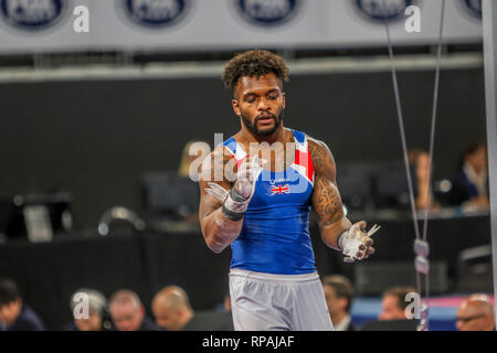 Melbourne, Victoria, Australia. 21 feb 2019. Gymnastics World Cup - GIORNO Una qualifica - 21 Febbraio 2019 - Melbourne Arena, Melbourne, Victoria, Australia.anelli concorrente Courtney Tulloch in rappresentanza di GBR durante la sua routine. Courtney finito in parità di terza posizione legata con Arther Zanetti da BRA. Credito: Brett keating/Alamy Live News Foto Stock