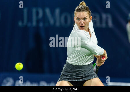 Dubai, Uinted Emirati Arabi. 21 feb 2019. Simona Halep della Romania nei quarti di finale match contro Belinda Bencic della Svizzera durante il Dubai Duty Free campionato di tennis presso il Dubai International Tennis Stadium, Dubai, UAE il 21 febbraio 2019. Foto di concedere l'inverno. Credit: UK Sports Pics Ltd/Alamy Live News Foto Stock