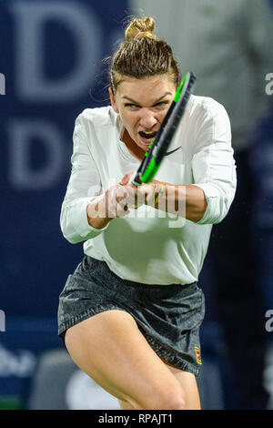 Dubai, Uinted Emirati Arabi. 21 feb 2019. Simona Halep della Romania nei quarti di finale match contro Belinda Bencic della Svizzera durante il Dubai Duty Free campionato di tennis presso il Dubai International Tennis Stadium, Dubai, UAE il 21 febbraio 2019. Foto di concedere l'inverno. Credit: UK Sports Pics Ltd/Alamy Live News Foto Stock