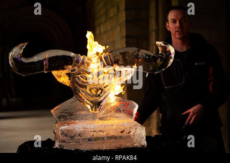 Durham, Regno Unito. 21 feb 2019. Sono in corso preparativi per il fuoco e il ghiaccio festival, tenutosi il 22 e 23 febbraio 2019, in Durham, Regno Unito. Matt Chaloner, il maestro intagliatore di arte glaciale, crea una scultura di ghiaccio di un Minotauro nel chiostro della Cattedrale di Durham. Credito: Stuart Forster/Alamy Live News Foto Stock