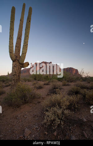 Vecchio e del Saguaro Superstition Mountains Foto Stock