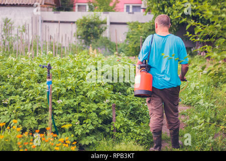 La residenza estiva uomo con un serbatoio sulla sua schiena irrora di patate nella sua estate Garden cottage Foto Stock