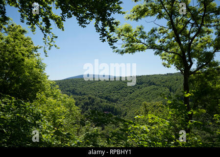 Blick vom großen Burgberg auf den Brocken, Bad Harzburg, Harz, Niedersachsen, Deutschland Foto Stock