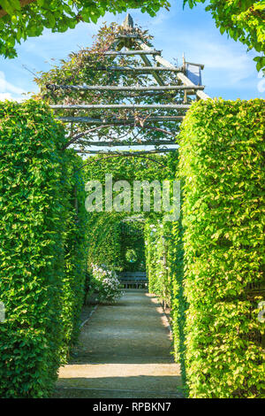 Orsan priory giardino, francia : intorno al parterre una corsia di bowers e rose rampicanti (menzione obbligatoria del giardino nome e nessuna pubblicità usare wi Foto Stock