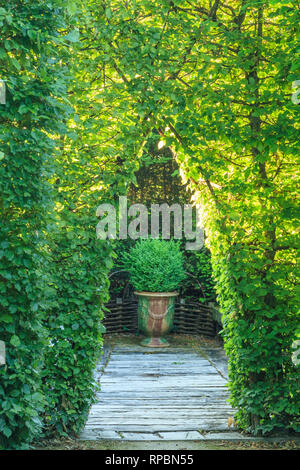 Orsan priory giardino, Francia : il passaggio nella nervatura nella Bower (menzione obbligatoria del giardino nome e nessuna pubblicità uso senza la preventiva autorizzazione) Foto Stock