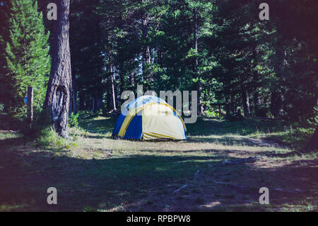 Varie tende turistico collocato all'esterno nei boschi. Camping i turisti sullo sfondo di alberi di pino nella foresta. Tourist romance. Montagne di Altai R Foto Stock