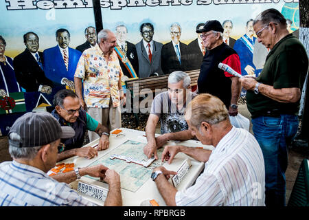 Gli uomini cubani la riproduzione dei dominos in Little Havana il famoso Máximo Gómez Park in Little Havana quartiere, Miami. (Photo credit: Gonzales foto - Flemming Bo Jensen). Foto Stock