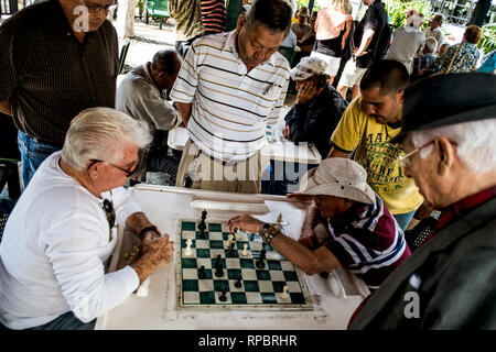 Gli uomini di Cuba a giocare a scacchi in Little Havana il famoso Máximo Gómez Park in Little Havana quartiere, Miami. (Photo credit: Gonzales foto - Flemming Bo Jensen). Foto Stock