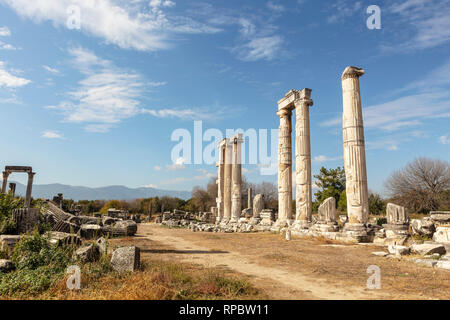 I dettagli architettonici recuperati presso il sito archeologico di un'antica città greca di Aphrodisias in Aydin provincia della Turchia. Foto Stock