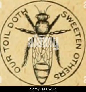 . American bee journal. La cultura delle api; le api. Quattro Celluloide Regina=bottoni Free come PREIVIIUIVl. Per inviare un nuovo abbonato al Bee ufficiale per l'equilibrio di questo 3'orecchio, con tanto di centesimi, si posta di quattro di questi graziosi ma- tonnellate per indossare il cappotto-bavero. (È possibile indossare uno e dare agli altri per i bambini.) la regina ha una sfumatura dorata. Questa offerta è resa solo per il nostro presente regolarmente agli abbonati. Nota.-un lettore scrive: " Ho tutti i motivi per credere che sarebbe una buona idea per ogni ape-lieeper indossare uno [dei pulsanti] come esso causerà la gente chiedere qu Foto Stock