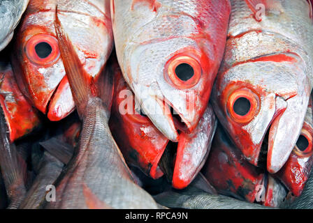 Close-up di colore rosso comuni pesci raggruppatore per la vendita al mercato centrale di Puerto Princesa City, Palawan Provincia, Filippine Foto Stock