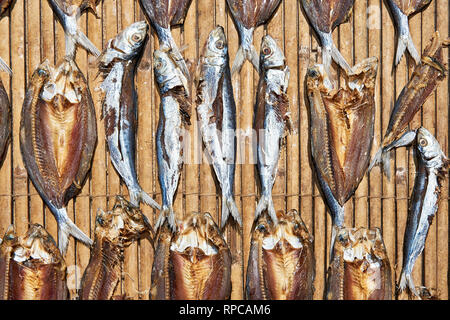 Abbondanza pesce salato e tagliato a metà e stendere per asciugare su un pavimento in bambù al mercato di Taytay, Palawan Provincia, Filippine Foto Stock