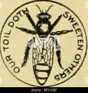 . American bee journal. La cultura delle api; le api. Quattro Celluloide Regina=pulsanti libero .^ COME UN PREMIO >^ per averci inviato un nuovo abbonato di American Bee ufficiale per un periodo di tre mesi con 30 centesimi, si posta di quattro di questi graziosi bottoni per indossare il cappotto-bavero. (È possibile indossare uno e dare agli altri per i bambini.) la regina ha una sfumatura dorata. Questa offerta è resa solo per il nostro presente regolarmente agli abbonati. Nota.-un lettore scrive: "Ho tutti i motivi per credere che sarebbe una buona idea per ogni apicoltore di indossare uno [dei pulsanti] come esso causerà la gente chiedere la questio Foto Stock